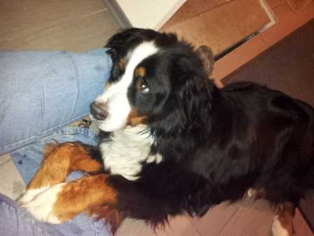 Schmusestunde Schmusestunde